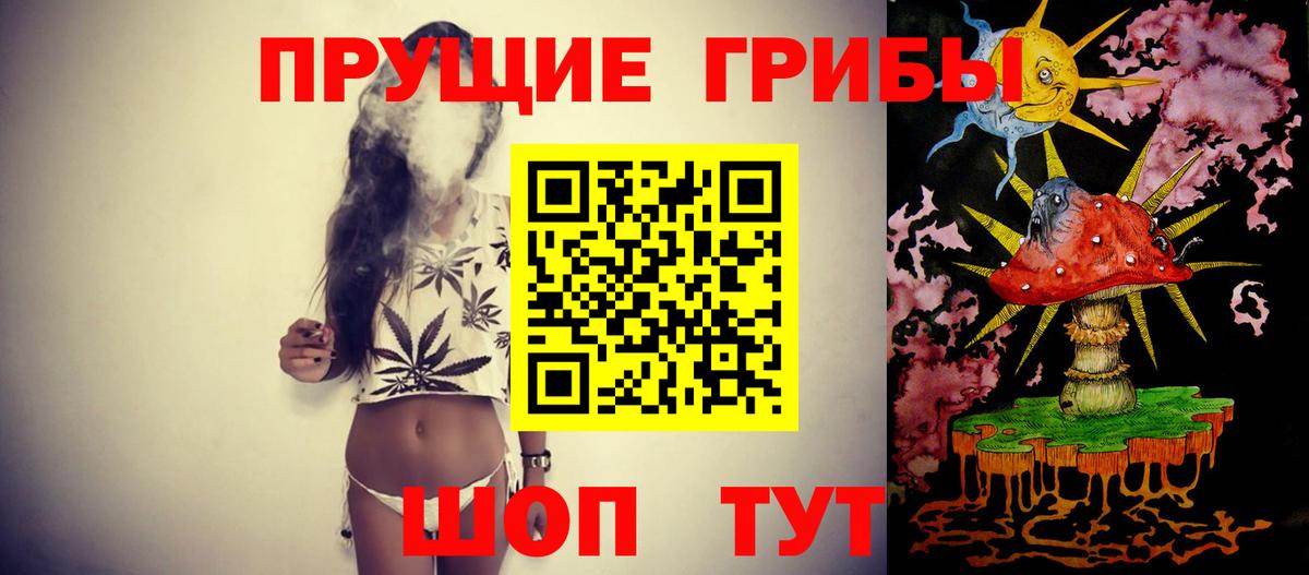 Выборг  Галлюциногенные грибы Psilocybe  купить наркотики цена  Псилоцибиновые грибы мухоморы  Вход с VPN 